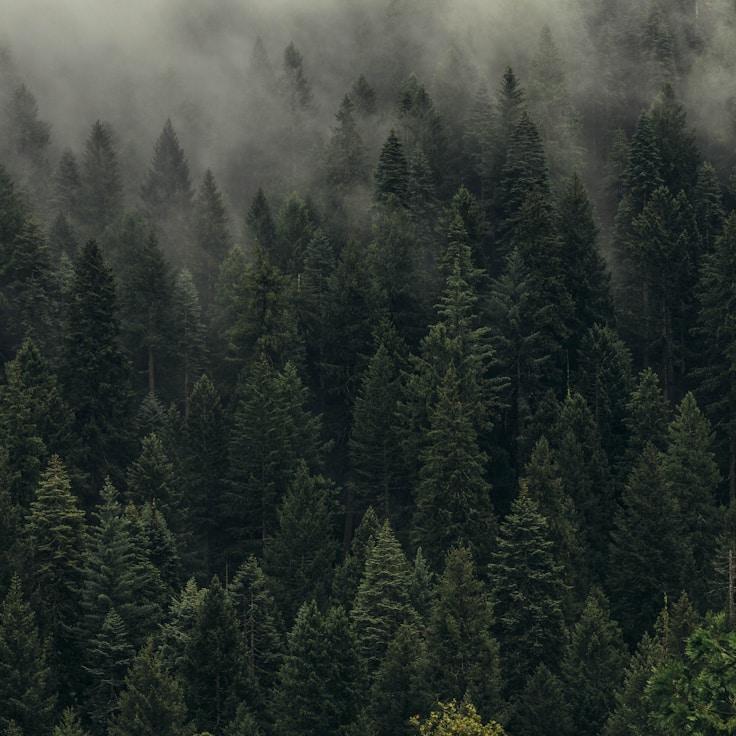 Protected areas overview